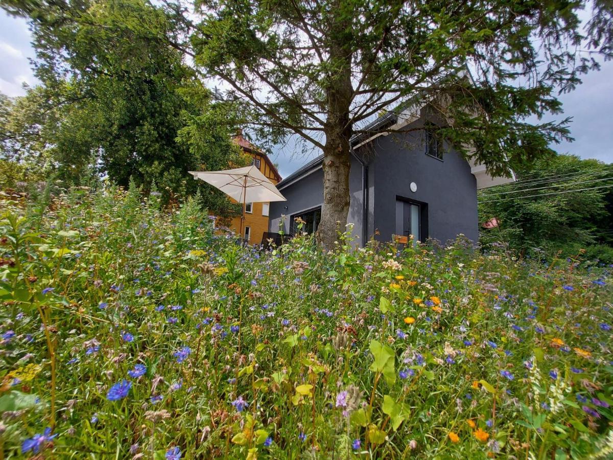 Bryziówka B Milków Exterior foto